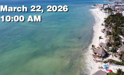 Daily Sargassum Sargasso Seaweed Report at Playa del Carmen, Mexico March 22, 2026