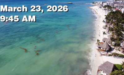 Daily Sargassum Sargasso Seaweed Report at Playa del Carmen, Mexico March 23, 2026