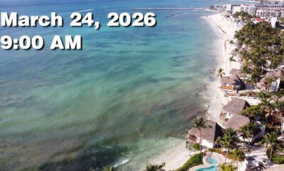 Daily Sargassum Sargasso Seaweed Report at Playa del Carmen, Mexico March 24, 2026
