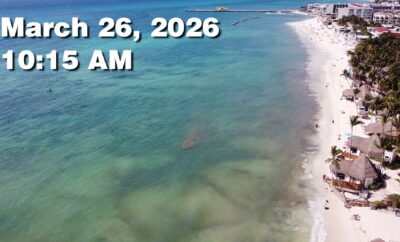 Daily Sargassum Sargasso Seaweed Report at Playa del Carmen, Mexico March 26, 2026
