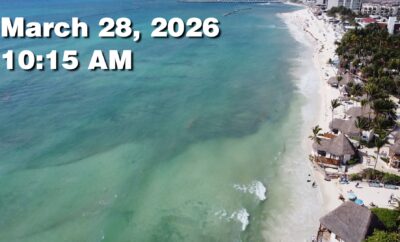 Daily Sargassum Sargasso Seaweed Report at Playa del Carmen, Mexico March 28, 2026