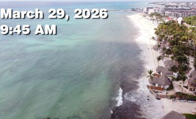 Daily Sargassum Sargasso Seaweed Report at Playa del Carmen, Mexico March 29, 2026