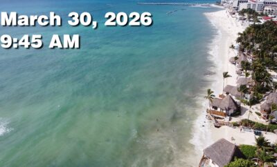 Daily Sargassum Sargasso Seaweed Report at Playa del Carmen, Mexico March 30, 2026