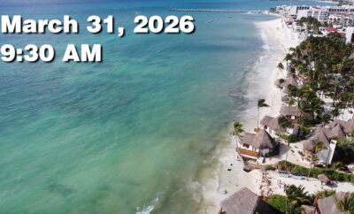 Daily Sargassum Sargasso Seaweed Report at Playa del Carmen, Mexico March 31, 2026