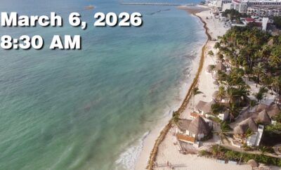 Daily Sargassum Sargasso Seaweed Report at Playa del Carmen, Mexico March 6, 2026