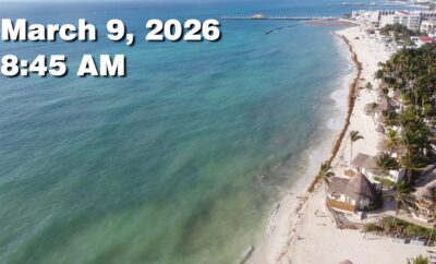 Daily Sargassum Sargasso Seaweed Report at Playa del Carmen, Mexico March 9, 2026