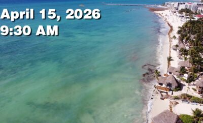 Daily Sargassum Sargasso Seaweed Report at Playa del Carmen, Mexico April 15, 2026