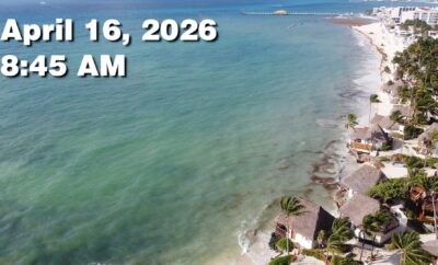 Daily Sargassum Sargasso Seaweed Report at Playa del Carmen, Mexico April 16, 2026