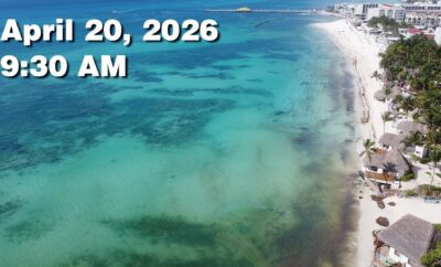 Daily Sargassum Sargasso Seaweed Report at Playa del Carmen, Mexico April 20, 2026
