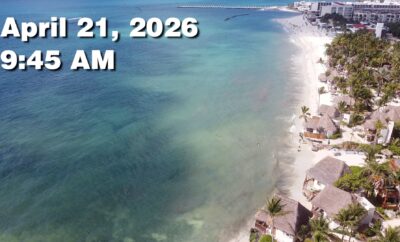 Daily Sargassum Sargasso Seaweed Report at Playa del Carmen, Mexico April 21, 2026