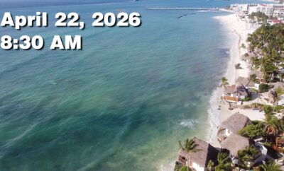 Daily Sargassum Sargasso Seaweed Report at Playa del Carmen, Mexico April 22, 2026