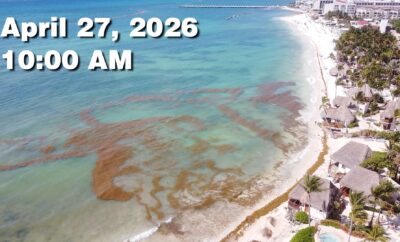 Daily Sargassum Sargasso Seaweed Report at Playa del Carmen, Mexico April 27, 2026