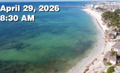 Daily Sargassum Sargasso Seaweed Report at Playa del Carmen, Mexico April 29, 2026