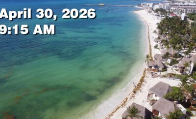 Daily Sargassum Sargasso Seaweed Report at Playa del Carmen, Mexico April 30, 2026
