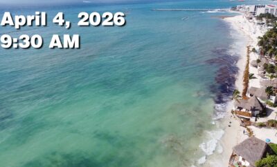 Daily Sargassum Sargasso Seaweed Report at Playa del Carmen, Mexico April 4, 2026