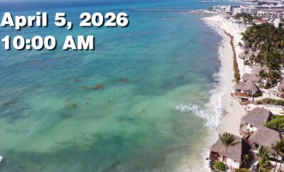 Daily Sargassum Sargasso Seaweed Report at Playa del Carmen, Mexico April 5, 2026