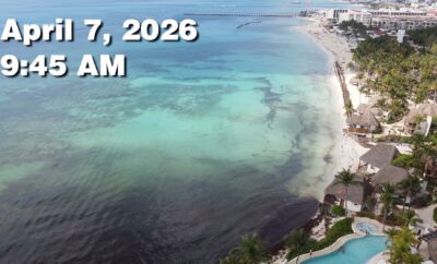 Daily Sargassum Sargasso Seaweed Report at Playa del Carmen, Mexico April 7, 2026