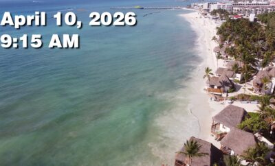 Daily Sargassum Sargasso Seaweed Report at Playa del Carmen, Mexico April 10, 2026