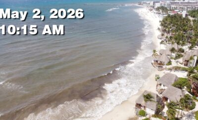 Daily Sargassum Sargasso Seaweed Report at Playa del Carmen, Mexico May 2, 2026