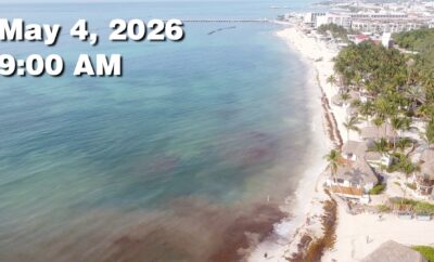 Daily Sargassum Sargasso Seaweed Report at Playa del Carmen, Mexico May 4, 2026