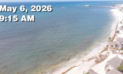 Daily Sargassum Sargasso Seaweed Report at Playa del Carmen, Mexico May 6, 2026