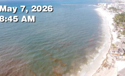 Daily Sargassum Sargasso Seaweed Report at Playa del Carmen, Mexico May 7, 2026