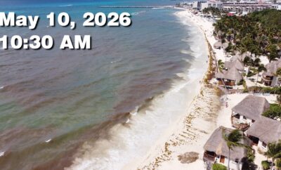 Daily Sargassum Sargasso Seaweed Report at Playa del Carmen, Mexico May 10, 2026