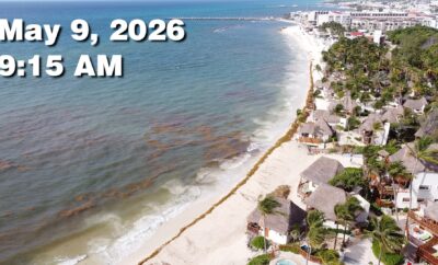 Daily Sargassum Sargasso Seaweed Report at Playa del Carmen, Mexico May 9, 2026