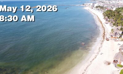 Daily Sargassum Sargasso Seaweed Report at Playa del Carmen, Mexico May 12, 2026