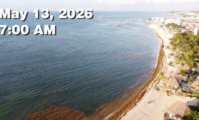 Daily Sargassum Sargasso Seaweed Report at Playa del Carmen, Mexico May 13, 2026