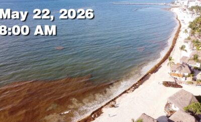 Daily Sargassum Sargasso Seaweed Report at Playa del Carmen, Mexico May 22, 2026