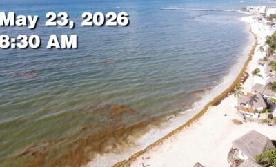 Daily Sargassum Sargasso Seaweed Report at Playa del Carmen, Mexico May 23, 2026