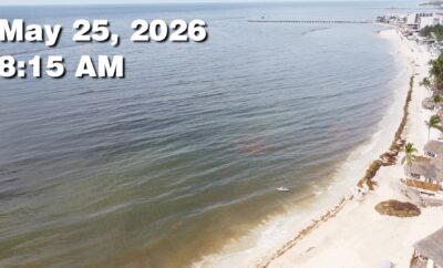 Daily Sargassum Sargasso Seaweed Report at Playa del Carmen, Mexico May 25, 2026
