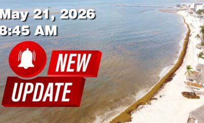 Daily Sargassum Sargasso Seaweed Report at Playa del Carmen, Mexico May 21, 2026