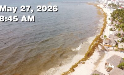 Daily Sargassum Sargasso Seaweed Report at Playa del Carmen, Mexico May 27, 2026