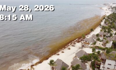 Daily Sargassum Sargasso Seaweed Report at Playa del Carmen, Mexico May 28, 2026