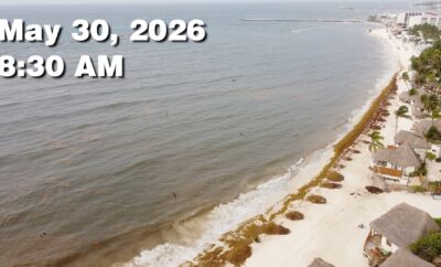 Daily Sargassum Sargasso Seaweed Report at Playa del Carmen, Mexico May 30, 2026