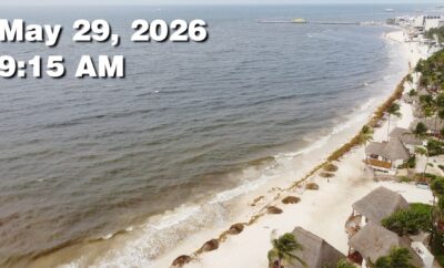Daily Sargassum Sargasso Seaweed Report at Playa del Carmen, Mexico May 29, 2026