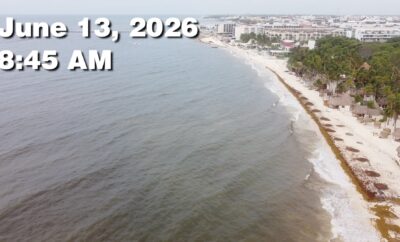 Daily Sargassum Sargasso Seaweed Report at Playa del Carmen, Mexico June 13, 2026
