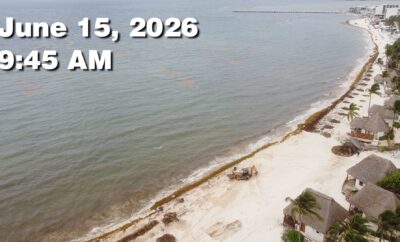 Daily Sargassum Sargasso Seaweed Report at Playa del Carmen, Mexico June 15, 2026