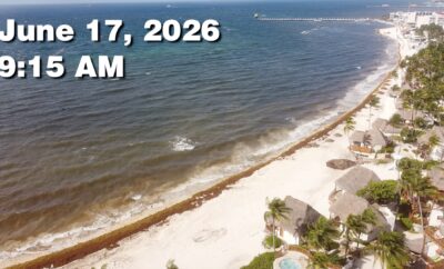 Daily Sargassum Sargasso Seaweed Report at Playa del Carmen, Mexico June 17, 2026