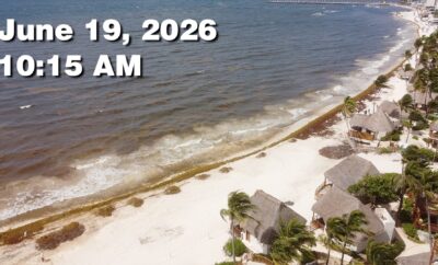 Daily Sargassum Sargasso Seaweed Report at Playa del Carmen, Mexico June 19, 2026