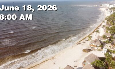 Daily Sargassum Sargasso Seaweed Report at Playa del Carmen, Mexico June 18, 2026