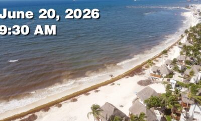 Daily Sargassum Sargasso Seaweed Report at Playa del Carmen, Mexico June 20, 2026