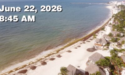 Daily Sargassum Sargasso Seaweed Report at Playa del Carmen, Mexico June 22, 2026