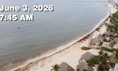 Daily Sargassum Sargasso Seaweed Report at Playa del Carmen, Mexico June 3, 2026