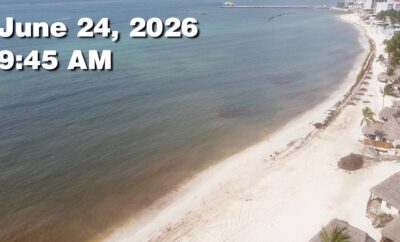Daily Sargassum Sargasso Seaweed Report at Playa del Carmen, Mexico June 24, 2026