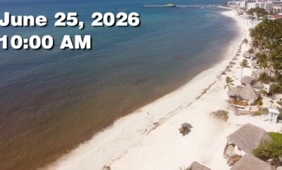 Daily Sargassum Sargasso Seaweed Report at Playa del Carmen, Mexico June 25, 2026