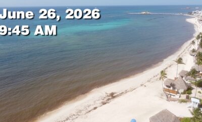Daily Sargassum Sargasso Seaweed Report at Playa del Carmen, Mexico June 26, 2026