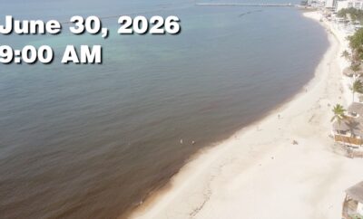 Daily Sargassum Sargasso Seaweed Report at Playa del Carmen, Mexico June 30, 2026